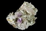 Amethyst Crystal Cluster - Las Vigas, Mexico #136994-1
